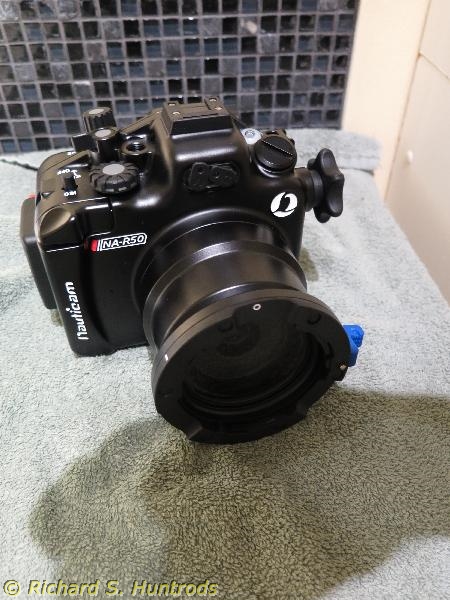 Canon EOS R7 Underwater Photos & Review